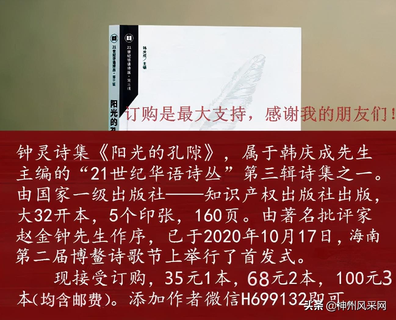 「神州头条」钟灵新书:《阳光的孔隙》