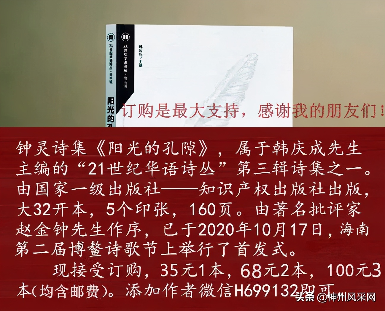 「神州头条」钟灵新书:《阳光的孔隙》