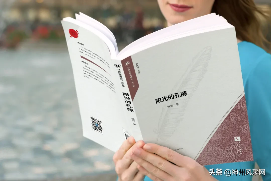 「神州头条」钟灵新书:《阳光的孔隙》