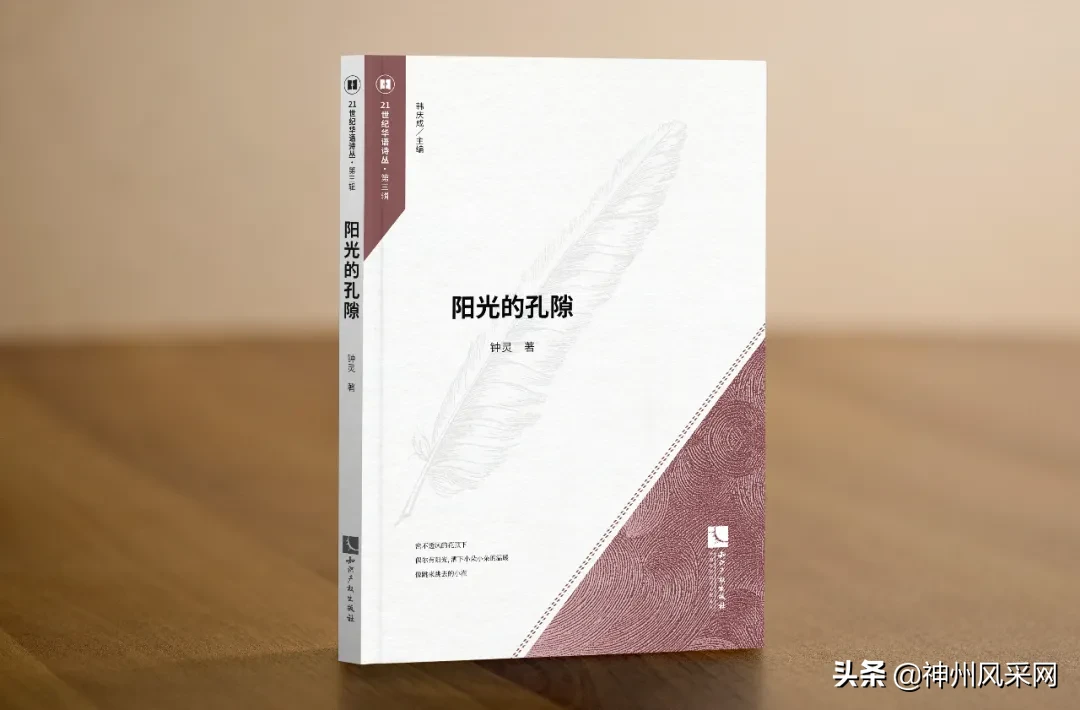 「神州头条」钟灵新书:《阳光的孔隙》
