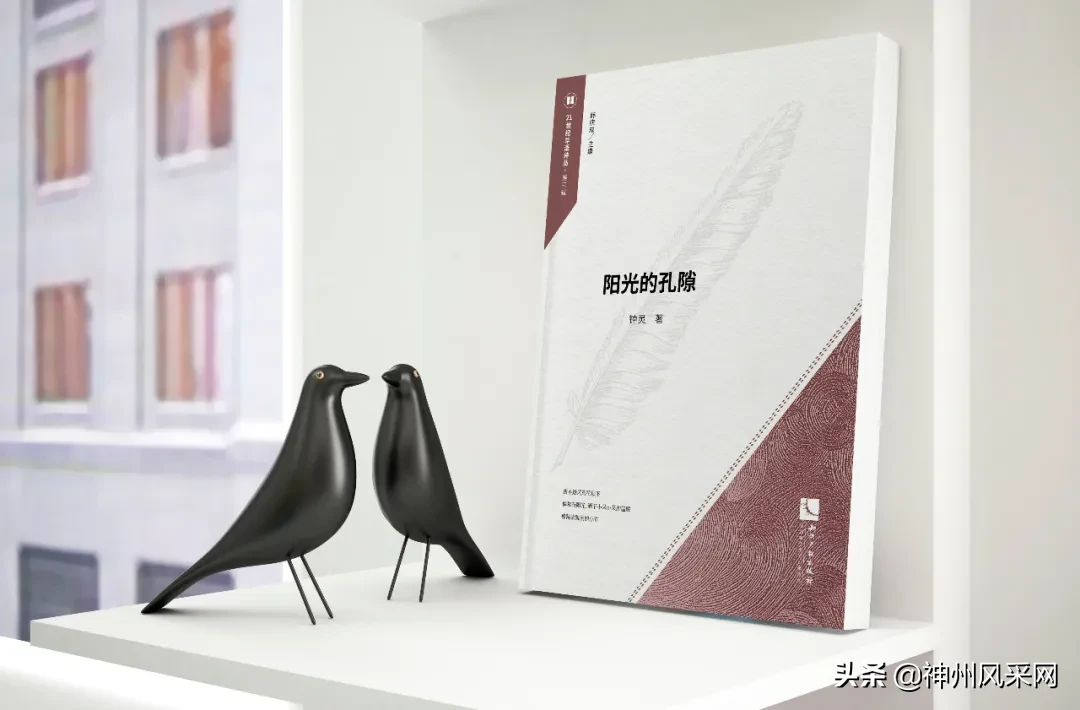 「神州头条」钟灵新书:《阳光的孔隙》