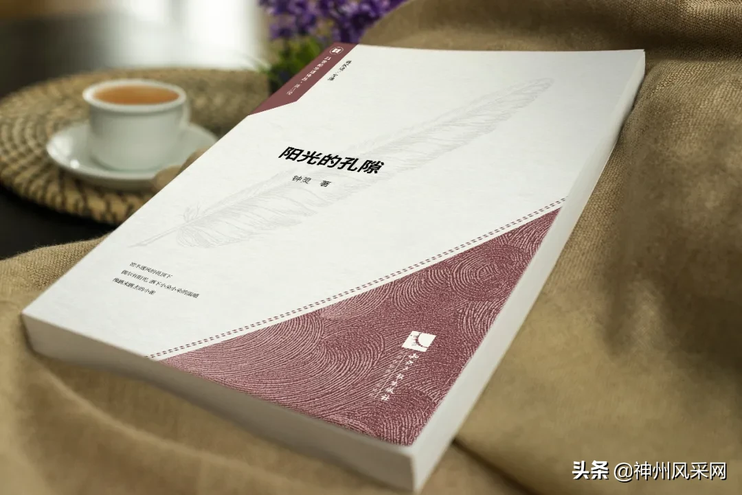 「神州头条」钟灵新书:《阳光的孔隙》