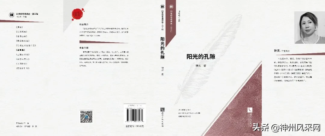 「神州头条」钟灵新书:《阳光的孔隙》